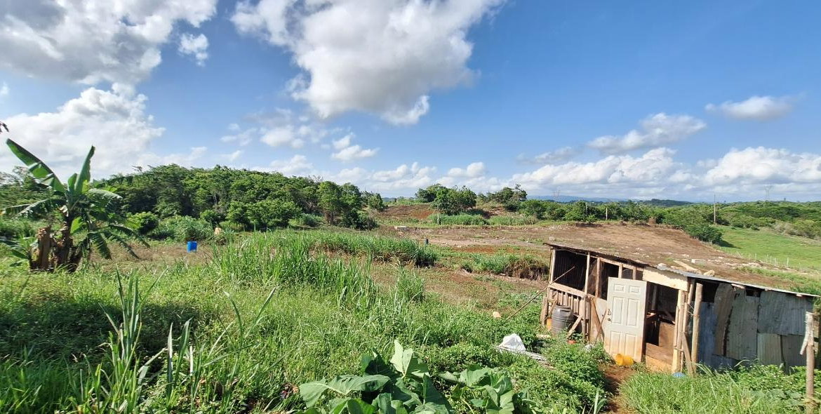 Seventh image of Dayls Grove in Dalys Grove, Manchester, Jamaica - property is For Sale