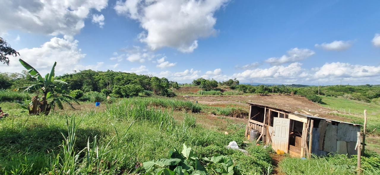 Charming-4-Bedroom-House-for-Sale-in-Dalys-Grove-Manchester Seventh image of Dayls Grove in Dalys Grove, Manchester, Jamaica - property is For Sale