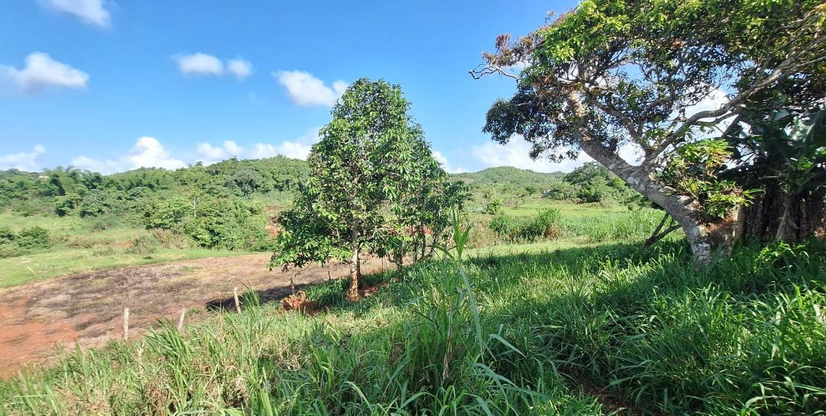 Eighth image of Dayls Grove in Dalys Grove, Manchester, Jamaica - property is For Sale