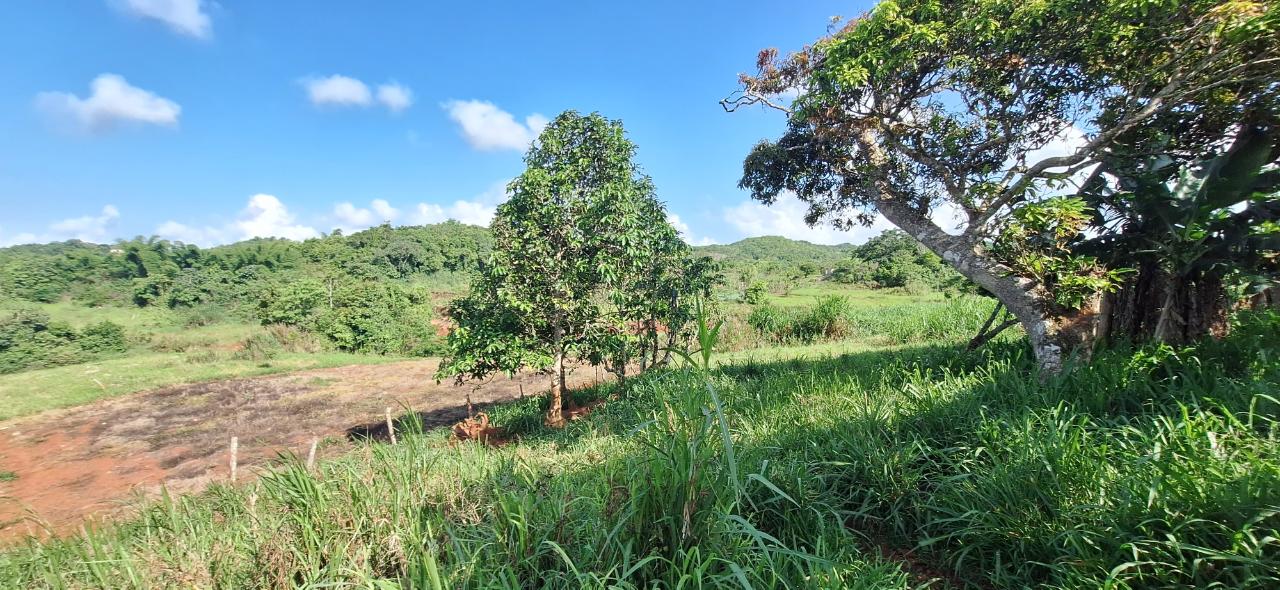 Charming-4-Bedroom-House-for-Sale-in-Dalys-Grove-Manchester Eighth image of Dayls Grove in Dalys Grove, Manchester, Jamaica - property is For Sale