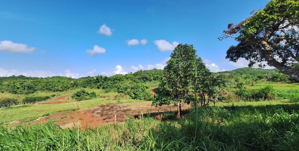 Ninth image of Dayls Grove in Dalys Grove, Manchester, Jamaica - property is For Sale