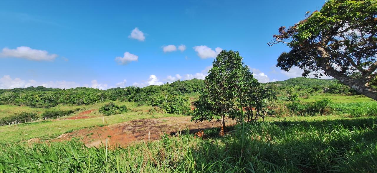 Charming-4-Bedroom-House-for-Sale-in-Dalys-Grove-Manchester Ninth image of Dayls Grove in Dalys Grove, Manchester, Jamaica - property is For Sale