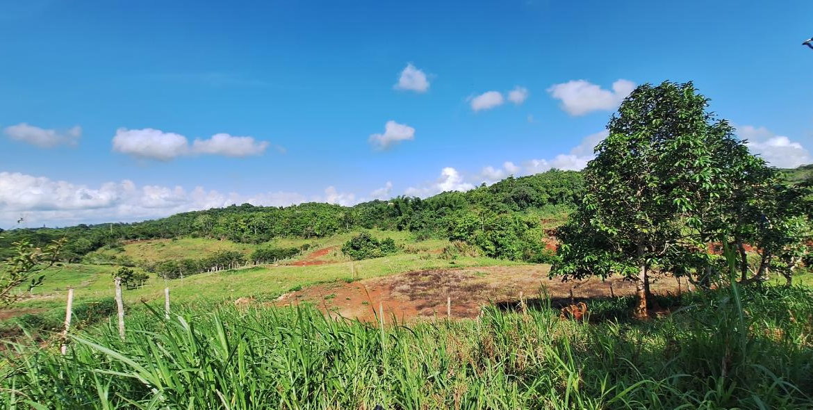 Tenth image of Dayls Grove in Dalys Grove, Manchester, Jamaica - property is For Sale