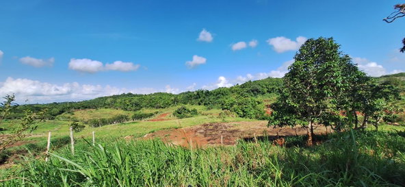 Tenth image of Dayls Grove in Dalys Grove, Manchester, Jamaica - property is For Sale