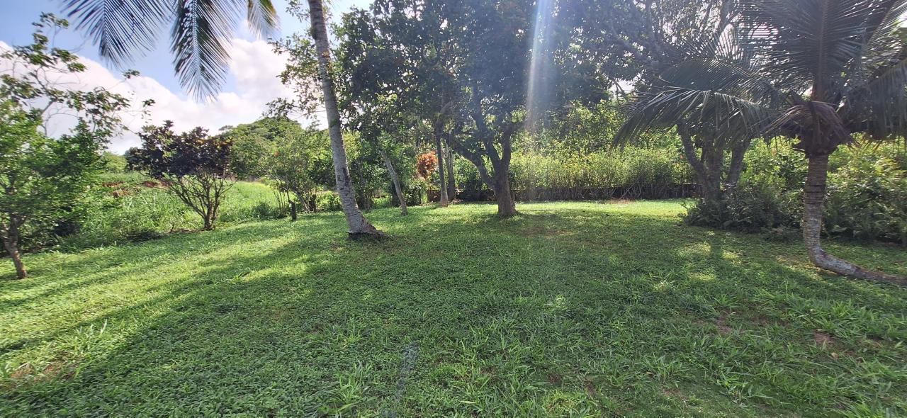 Charming-4-Bedroom-House-for-Sale-in-Dalys-Grove-Manchester First image of Dayls Grove in Dalys Grove, Manchester, Jamaica - property is For Sale