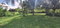 First image of Dayls Grove in Dalys Grove, Manchester, Jamaica - property is For Sale