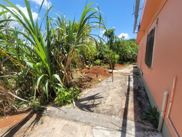Twenty-Ninth image of Big Head Street Greenvale in Mandeville, Manchester, Jamaica - property is For Sale