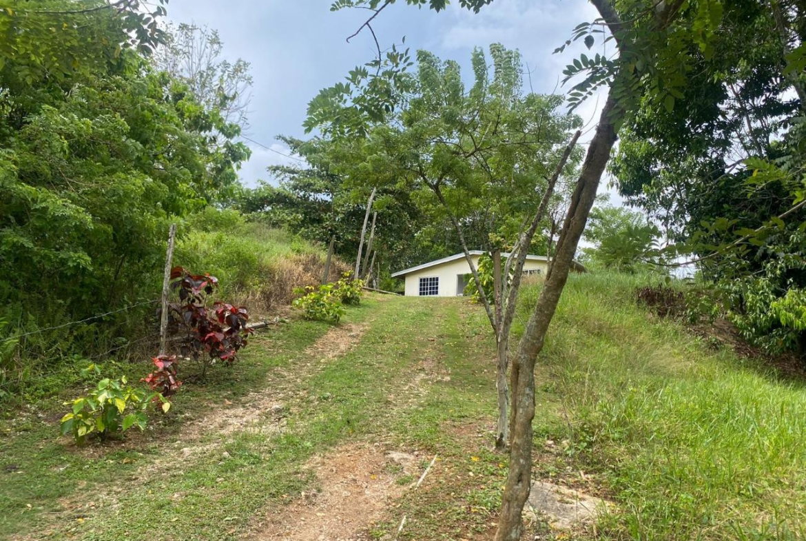 Second image of 3 & 4 Hermitage, St. Ann in Hermitage, St. Ann, Jamaica - property is For Sale