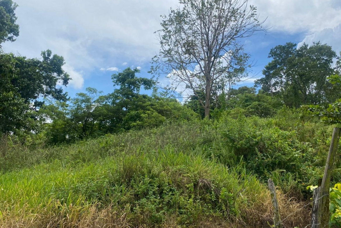 Third image of 3 & 4 Hermitage, St. Ann in Hermitage, St. Ann, Jamaica - property is For Sale