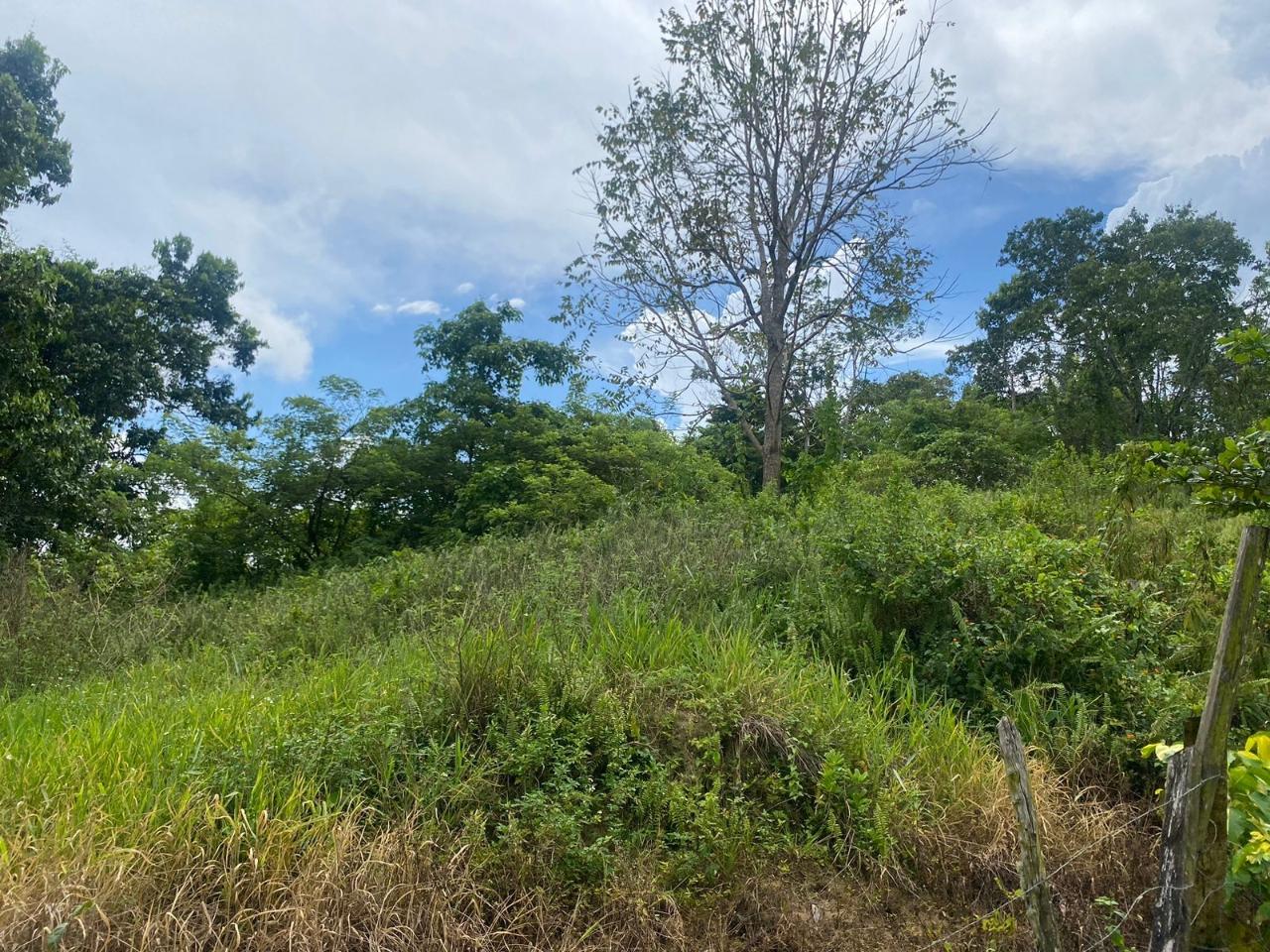 Third image of 3 & 4 Hermitage, St. Ann in Hermitage, St. Ann, Jamaica - property is For Sale