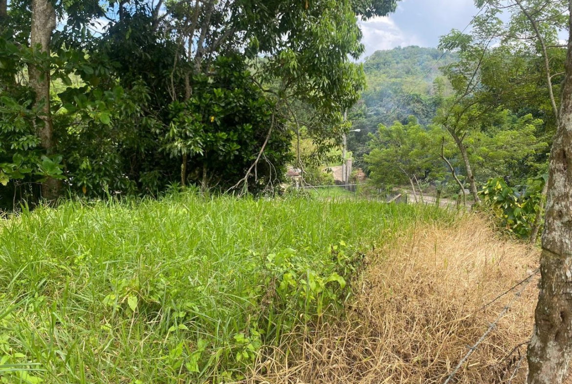 Fourth image of 3 & 4 Hermitage, St. Ann in Hermitage, St. Ann, Jamaica - property is For Sale