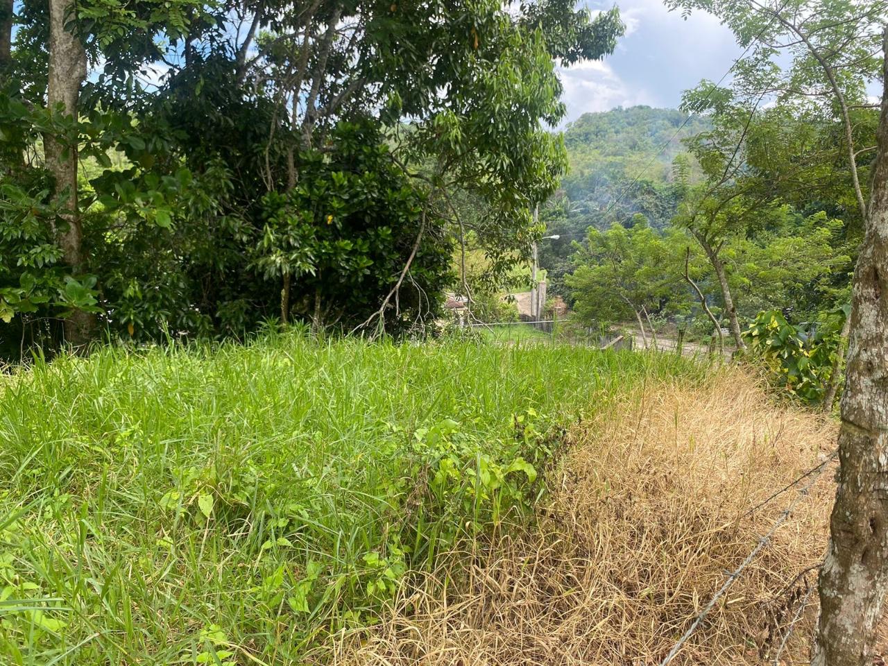 Fourth image of 3 & 4 Hermitage, St. Ann in Hermitage, St. Ann, Jamaica - property is For Sale