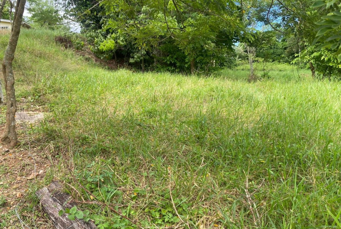 Fifth image of 3 & 4 Hermitage, St. Ann in Hermitage, St. Ann, Jamaica - property is For Sale