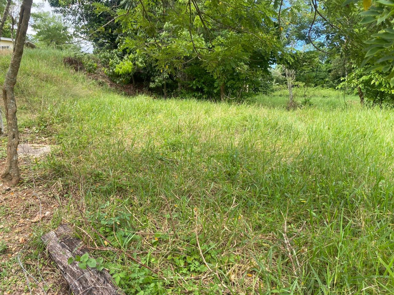 Fifth image of 3 & 4 Hermitage, St. Ann in Hermitage, St. Ann, Jamaica - property is For Sale