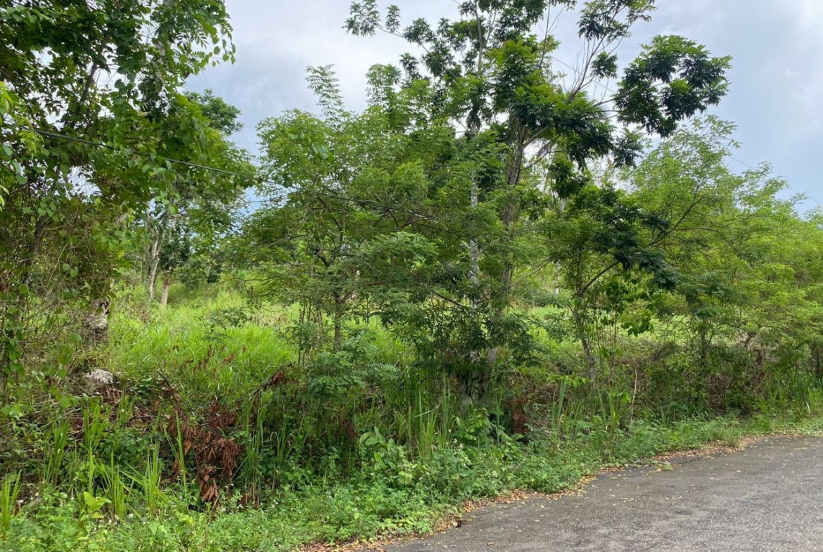 Sixth image of 3 & 4 Hermitage, St. Ann in Hermitage, St. Ann, Jamaica - property is For Sale