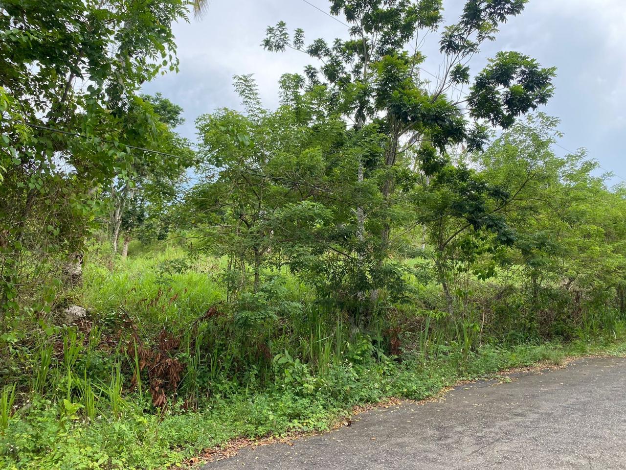 Sixth image of 3 & 4 Hermitage, St. Ann in Hermitage, St. Ann, Jamaica - property is For Sale