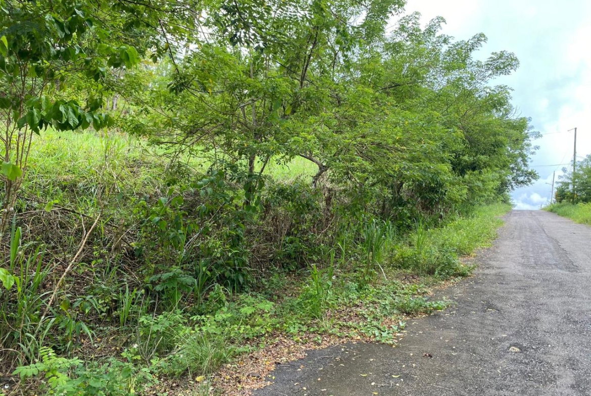 Seventh image of 3 & 4 Hermitage, St. Ann in Hermitage, St. Ann, Jamaica - property is For Sale
