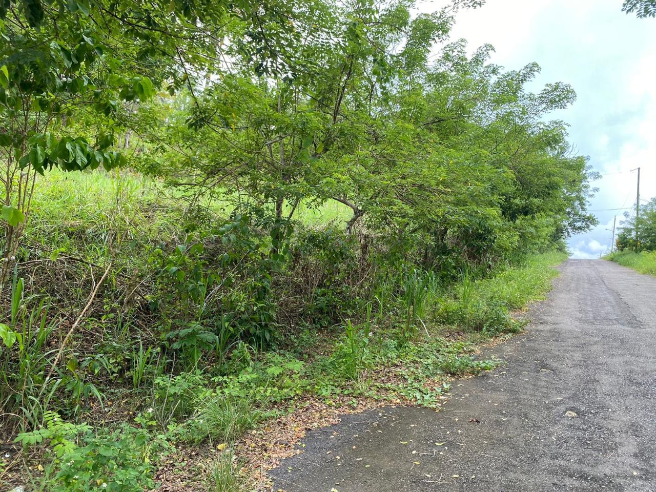 Seventh image of 3 & 4 Hermitage, St. Ann in Hermitage, St. Ann, Jamaica - property is For Sale