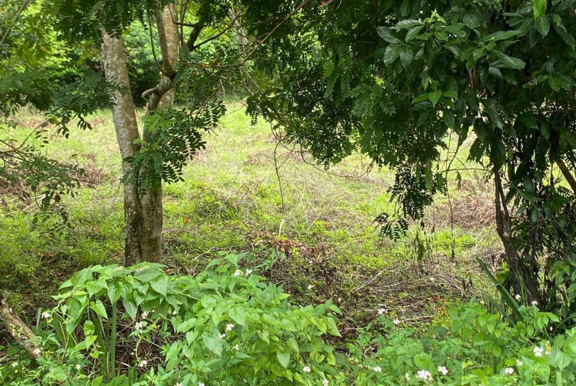 Eighth image of 3 & 4 Hermitage, St. Ann in Hermitage, St. Ann, Jamaica - property is For Sale