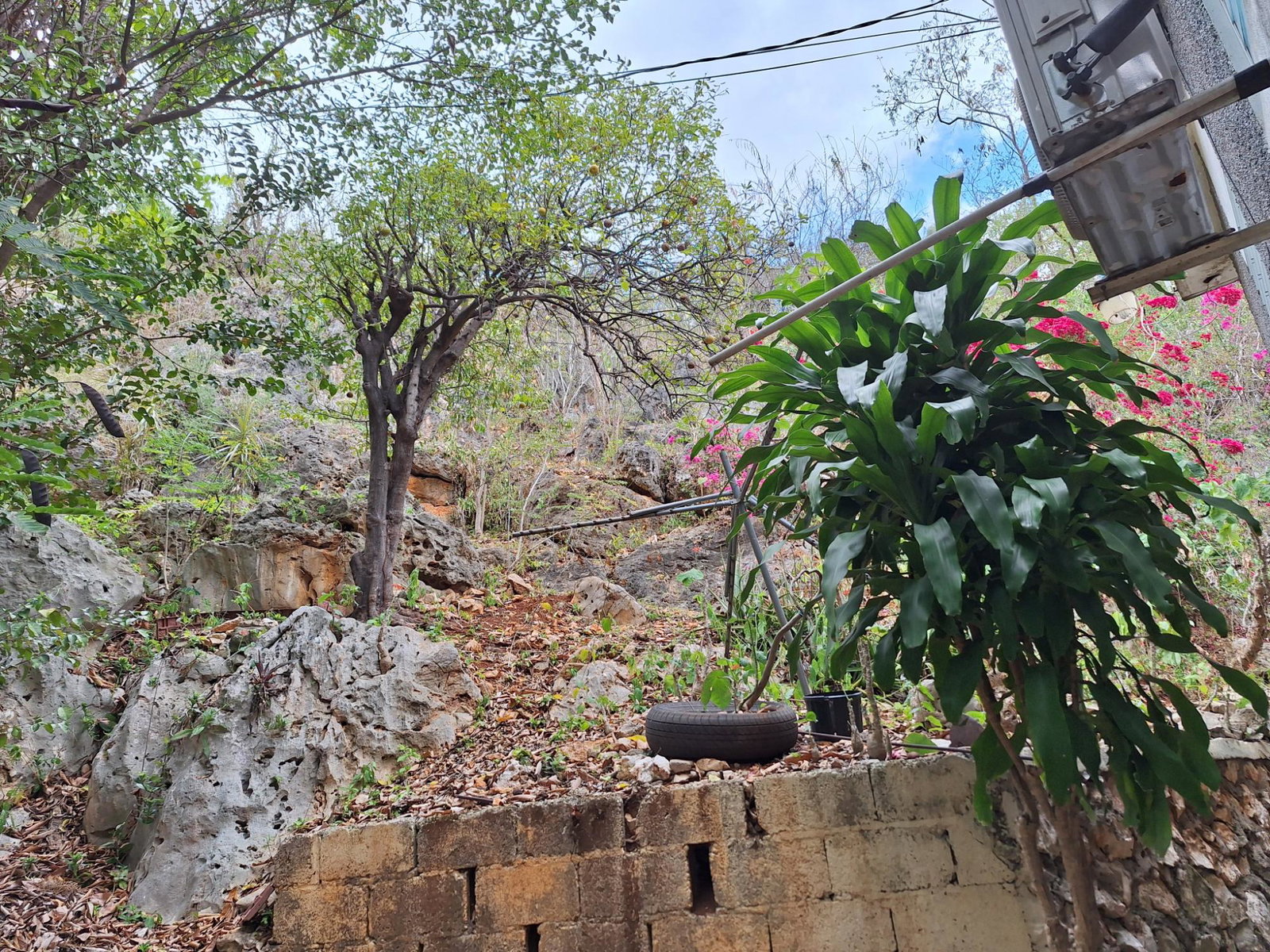 Fourth image of 24 East Great House Circle in Kingston 19, St. Andrew, Jamaica - property is For Sale