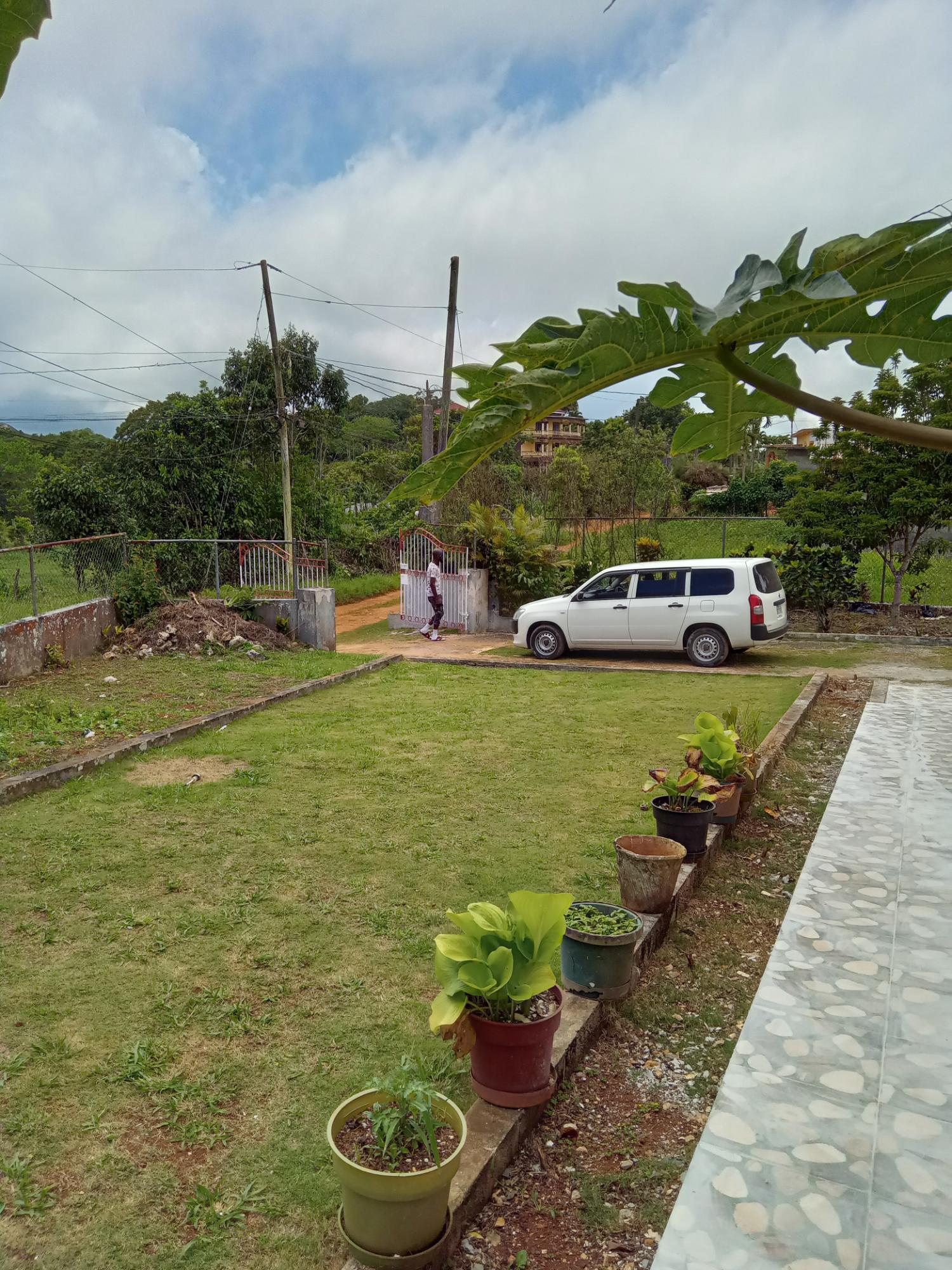 Twenty-Ninth image of 2- Arabia Felix in Bamboo, St. Ann, Jamaica - property is For Sale