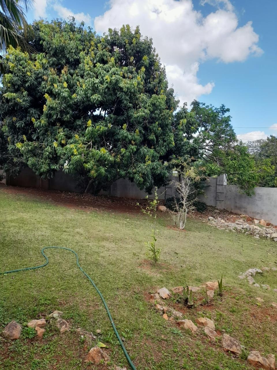 Ninth image of 23 College View in Mandeville, Manchester, Jamaica - property is For Sale