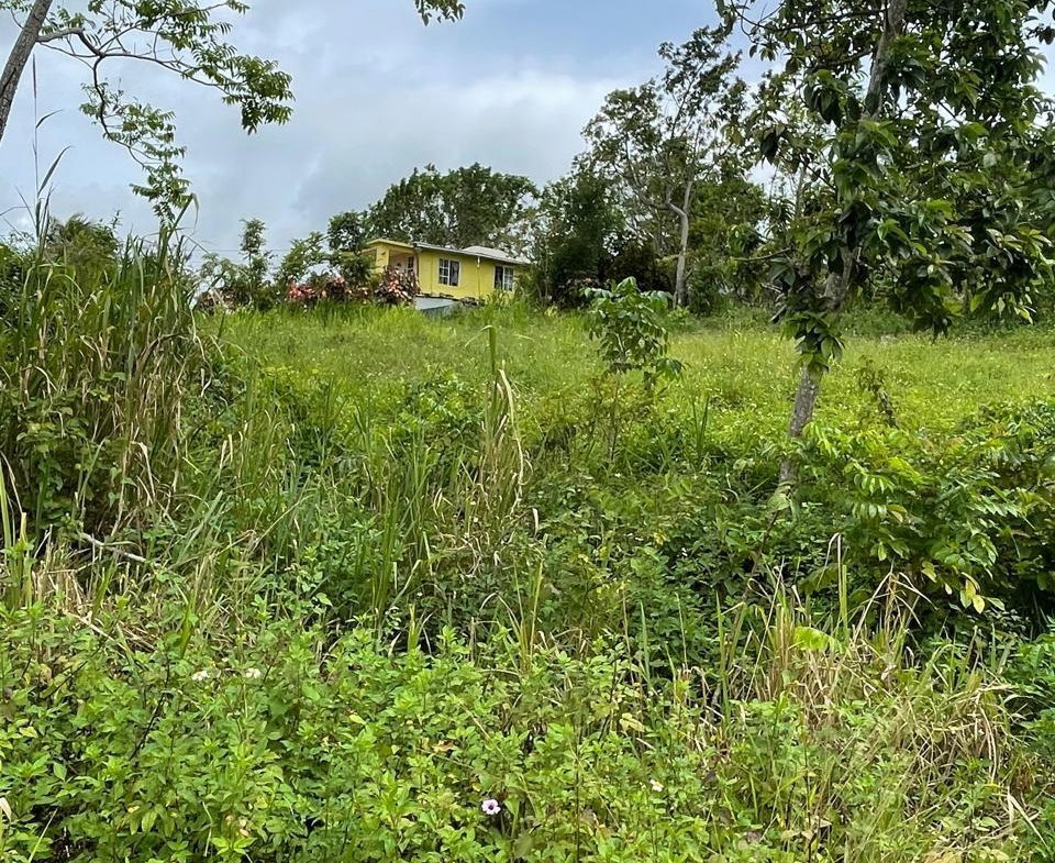 Second image of Richmond, Manchester in Richmond, Manchester, Jamaica - property is For Sale