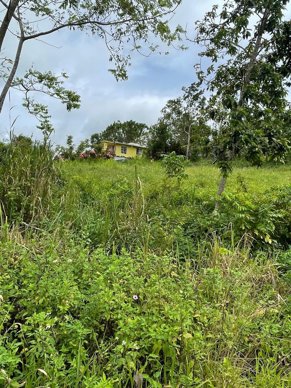 Second image of Richmond, Manchester in Richmond, Manchester, Jamaica - property is For Sale