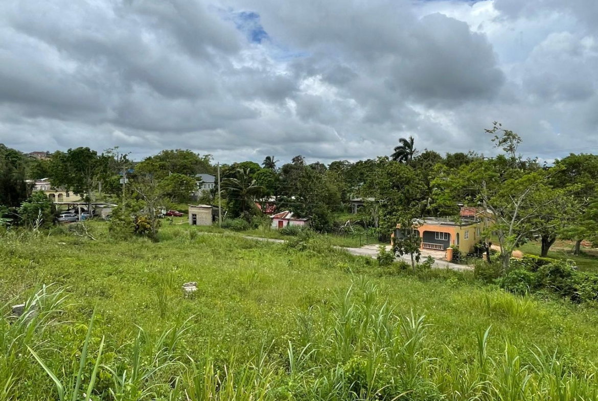 Eleventh image of Richmond, Manchester in Richmond, Manchester, Jamaica - property is For Sale