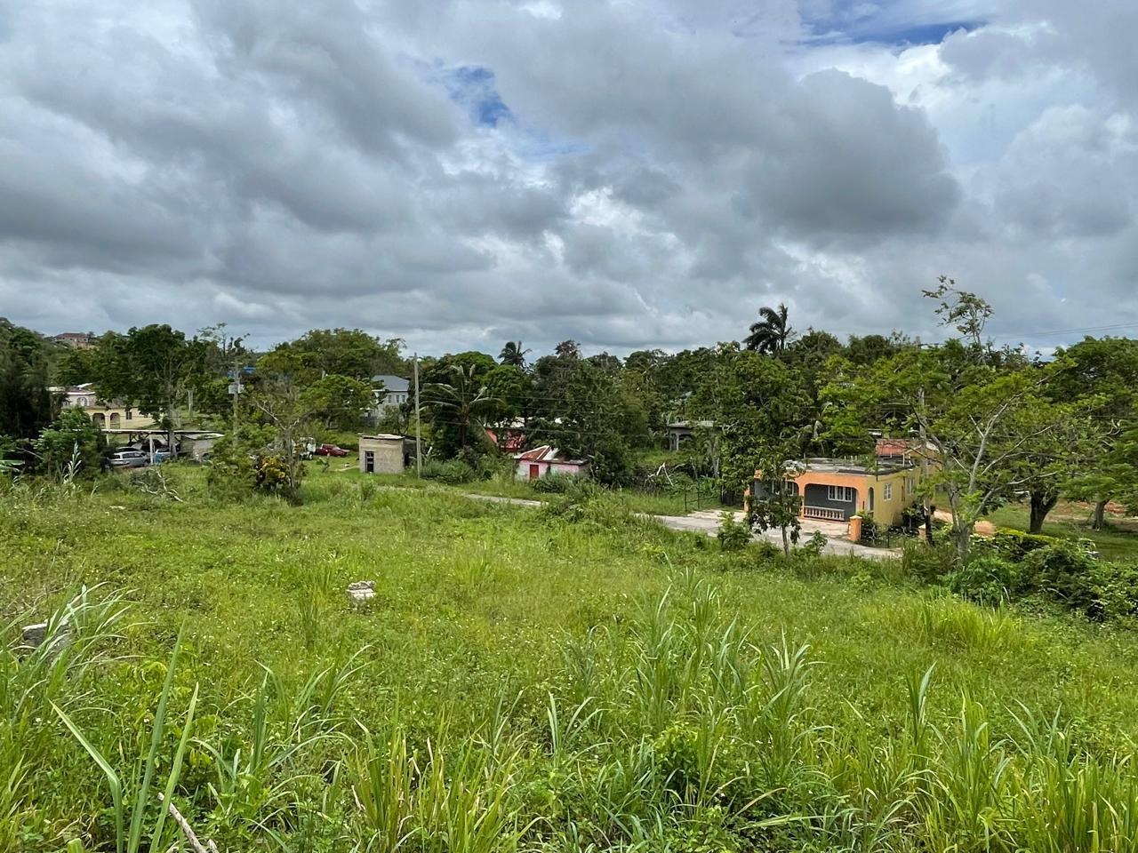 Eleventh image of Richmond, Manchester in Richmond, Manchester, Jamaica - property is For Sale