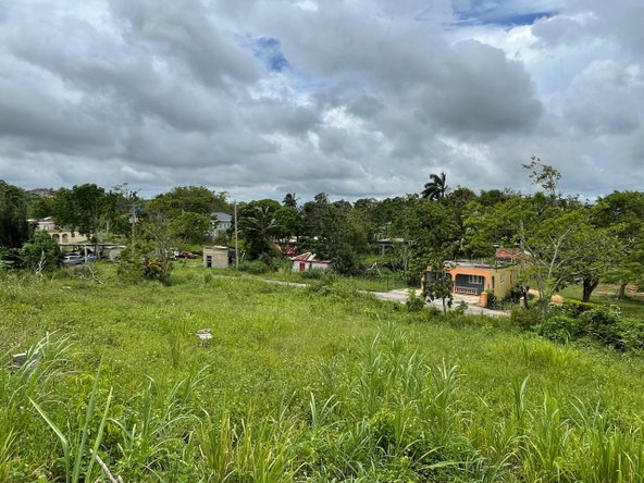 Eleventh image of Richmond, Manchester in Richmond, Manchester, Jamaica - property is For Sale