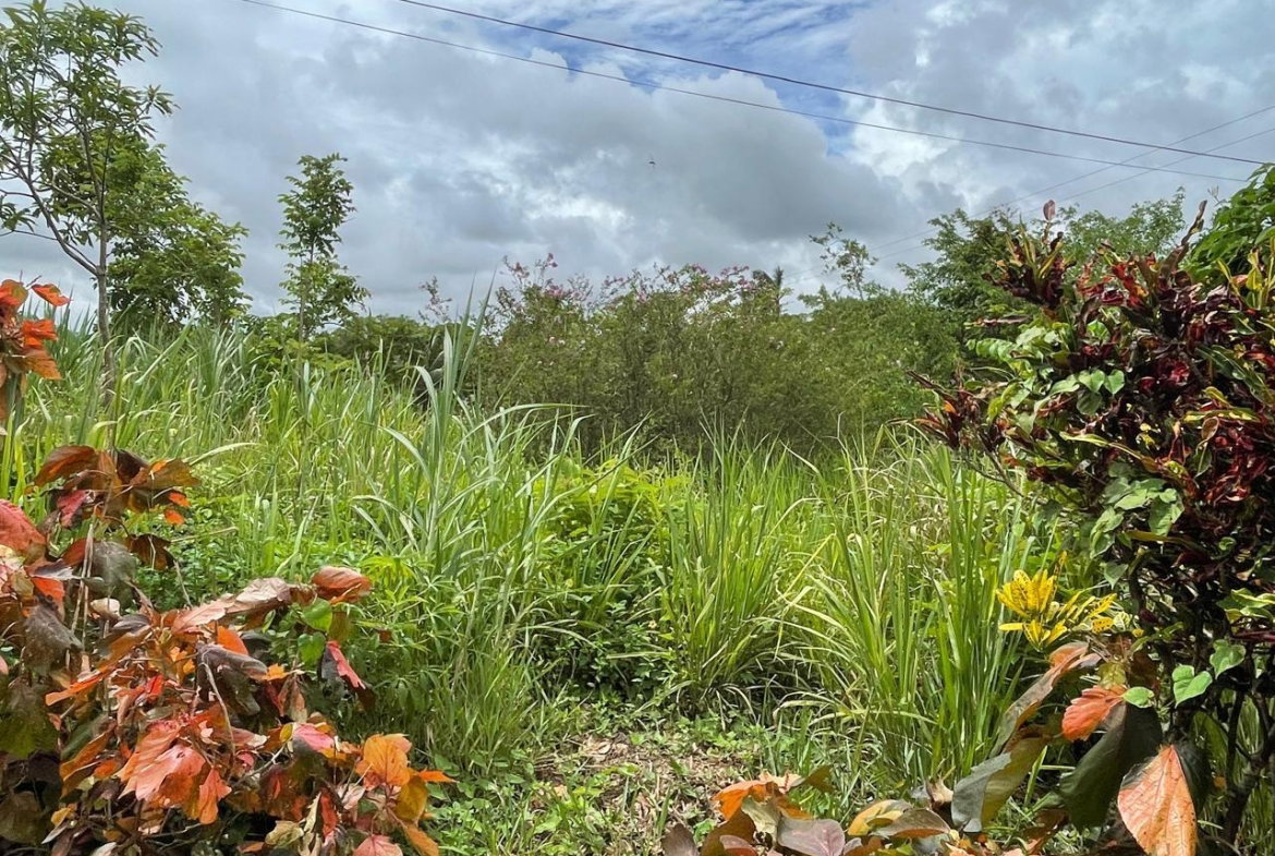 Twelfth image of Richmond, Manchester in Richmond, Manchester, Jamaica - property is For Sale