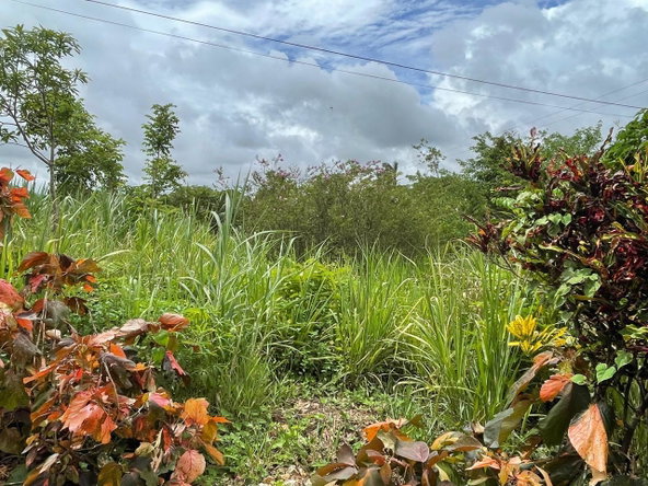 Twelfth image of Richmond, Manchester in Richmond, Manchester, Jamaica - property is For Sale