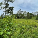 First image of Richmond, Manchester in Richmond, Manchester, Jamaica - property is For Sale