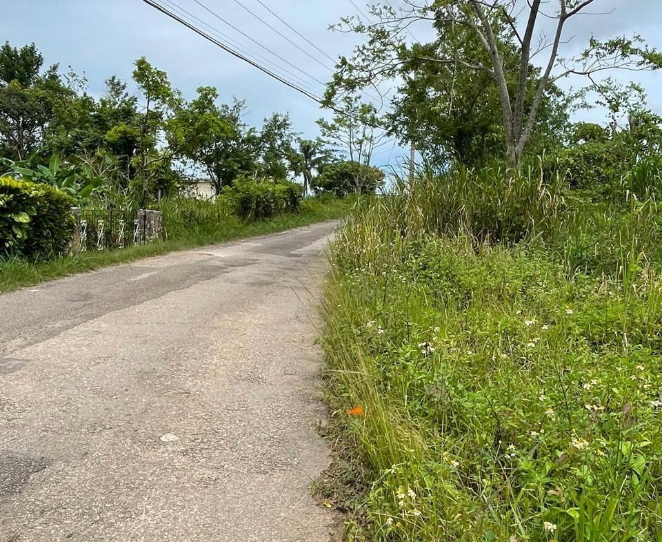 Third image of Richmond, Manchester in Richmond, Manchester, Jamaica - property is For Sale