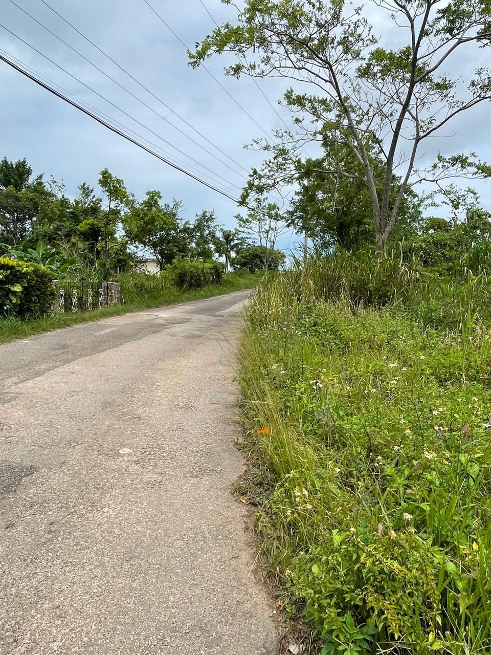 Third image of Richmond, Manchester in Richmond, Manchester, Jamaica - property is For Sale