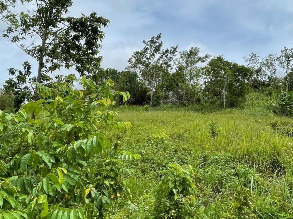 First image of Richmond, Manchester in Richmond, Manchester, Jamaica - property is For Sale