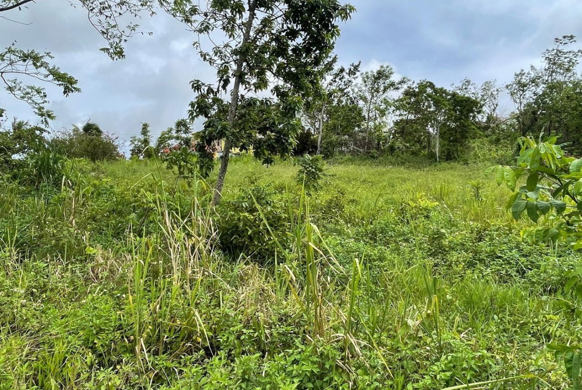 Seventh image of Richmond, Manchester in Richmond, Manchester, Jamaica - property is For Sale