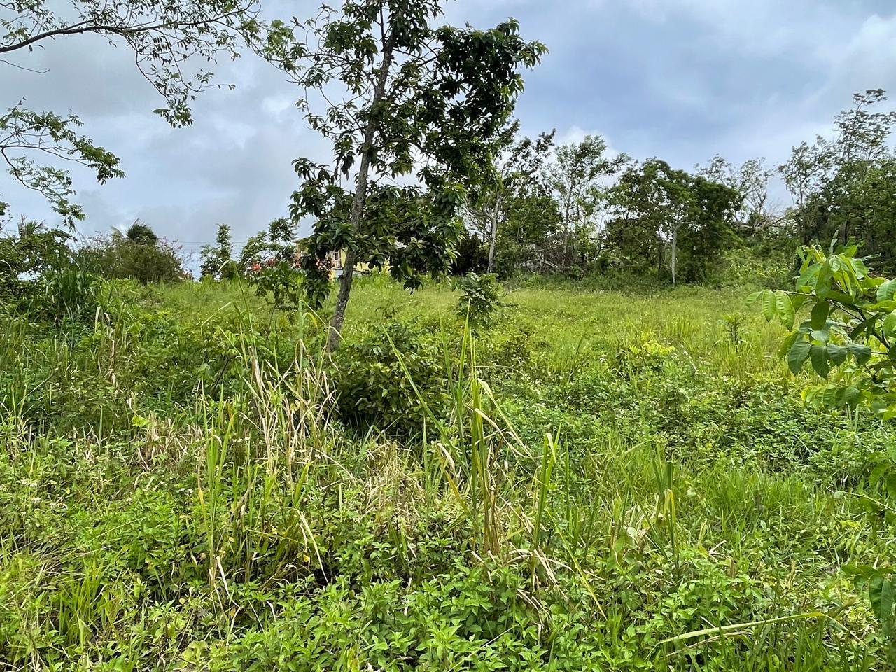 Seventh image of Richmond, Manchester in Richmond, Manchester, Jamaica - property is For Sale