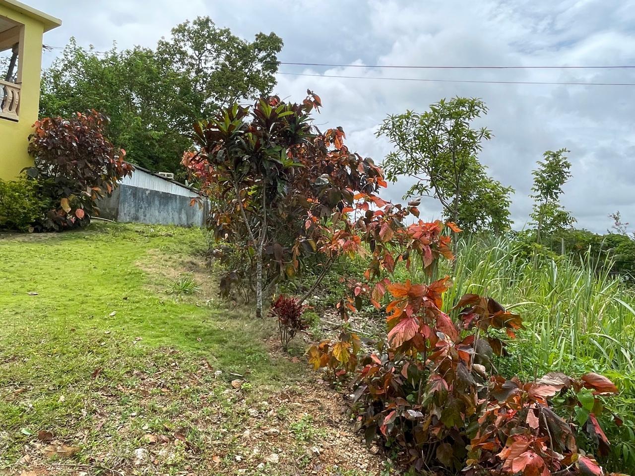 Eighth image of Richmond, Manchester in Richmond, Manchester, Jamaica - property is For Sale