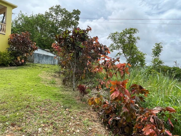 Eighth image of Richmond, Manchester in Richmond, Manchester, Jamaica - property is For Sale