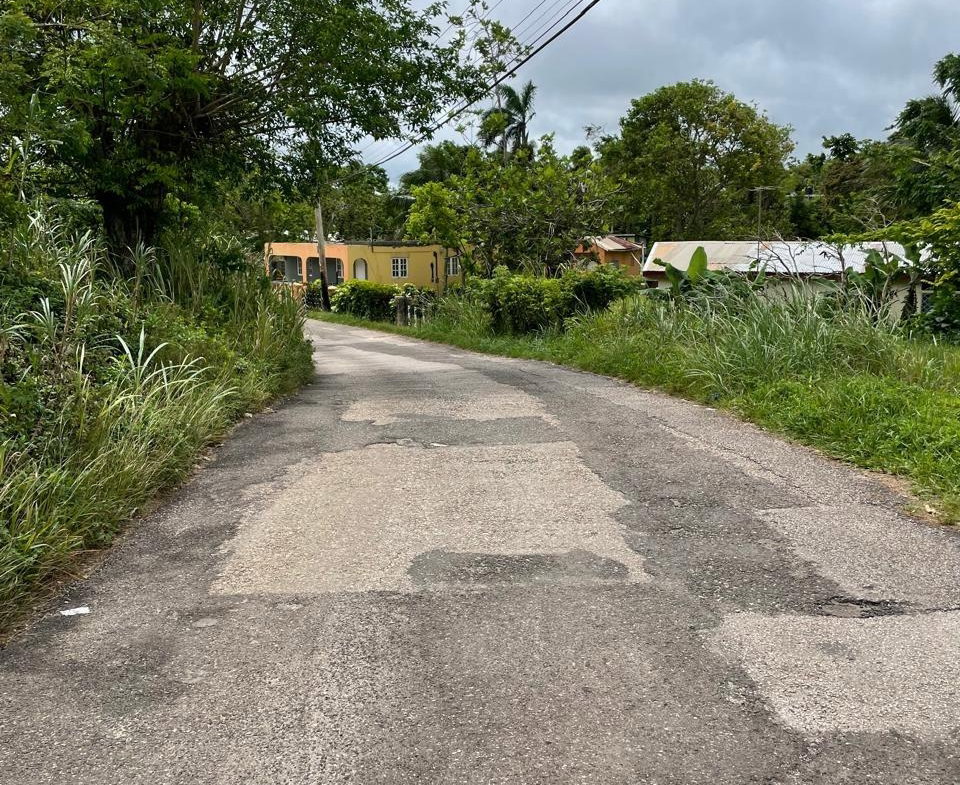 Tenth image of Richmond, Manchester in Richmond, Manchester, Jamaica - property is For Sale
