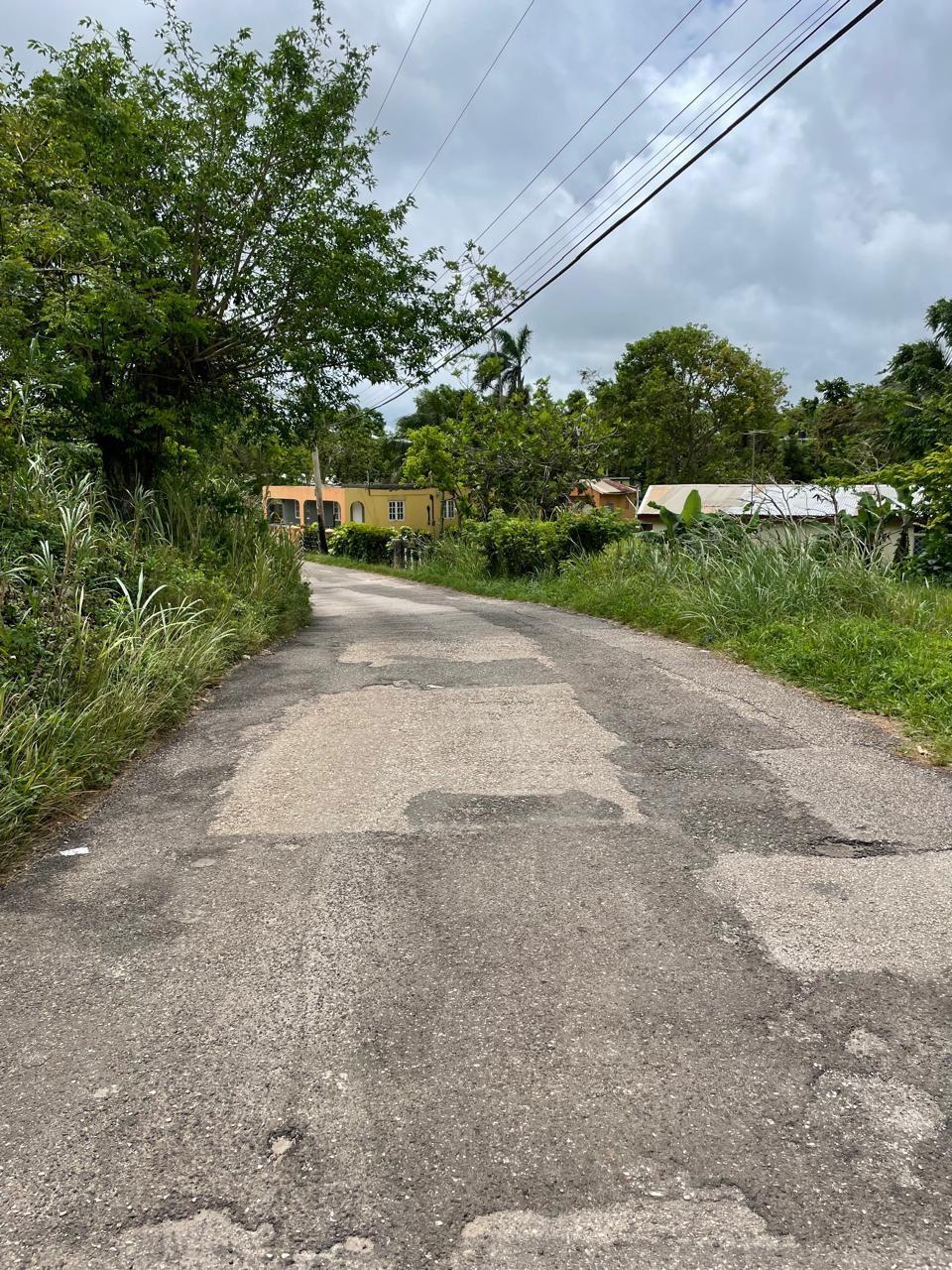 Tenth image of Richmond, Manchester in Richmond, Manchester, Jamaica - property is For Sale