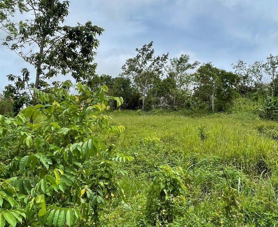 First image of Richmond, Manchester in Richmond, Manchester, Jamaica - property is For Sale