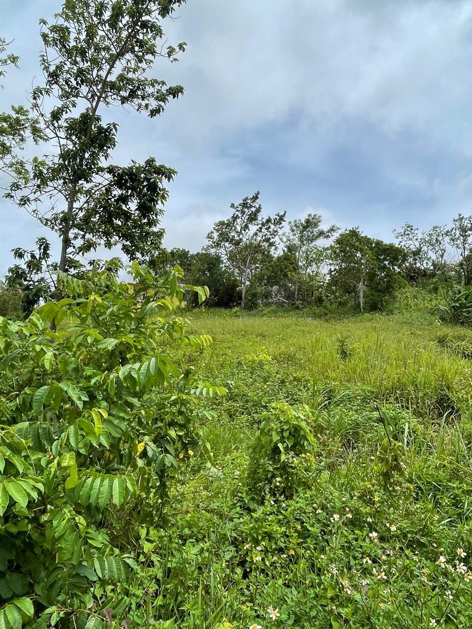 First image of Richmond, Manchester in Richmond, Manchester, Jamaica - property is For Sale