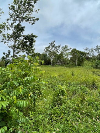 First image of Richmond, Manchester in Richmond, Manchester, Jamaica - property is For Sale