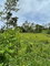 First image of Richmond, Manchester in Richmond, Manchester, Jamaica - property is For Sale