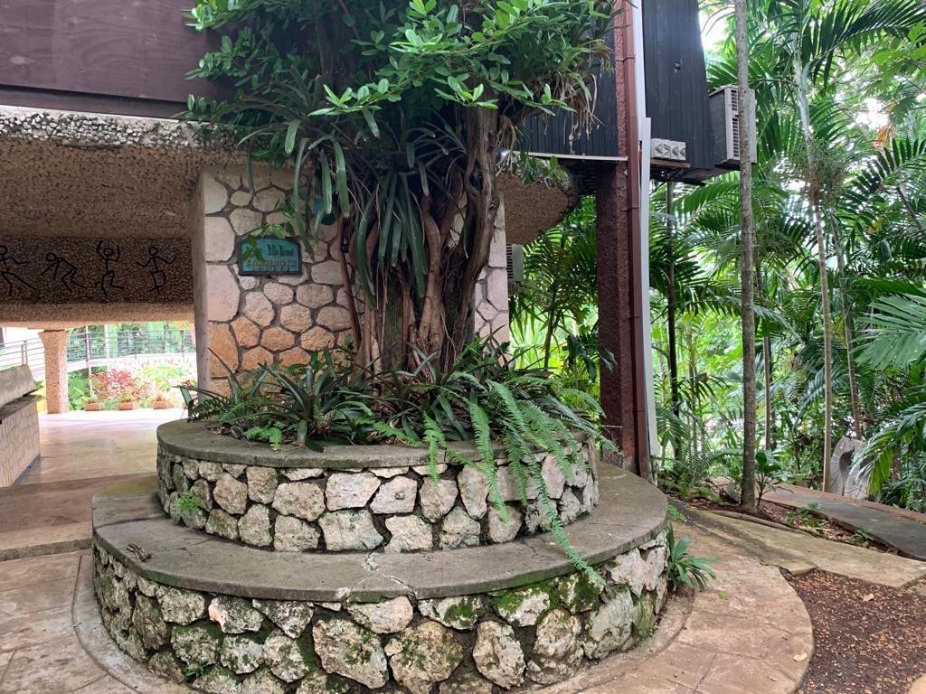 Fourth image of 205- Old Stony Hill Road in Kingston 8, St. Andrew, Jamaica - property is For Sale