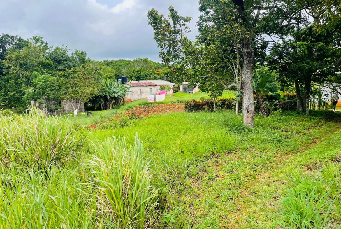 Fifteenth image of Land Part of Spur Tree in Spur Tree, Manchester, Jamaica - property is For Sale