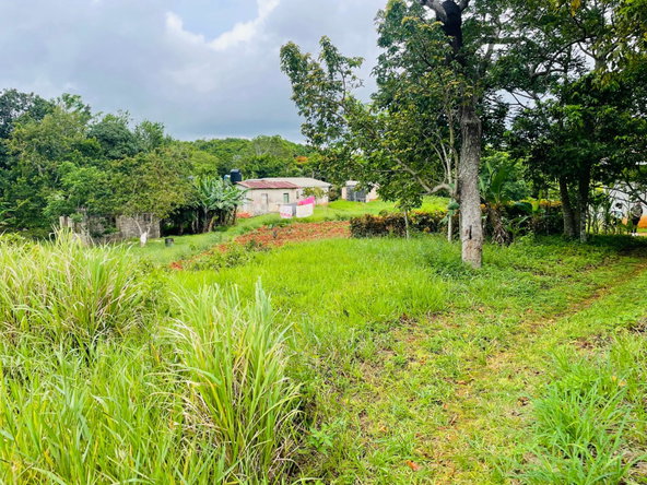 Fifteenth image of Land Part of Spur Tree in Spur Tree, Manchester, Jamaica - property is For Sale